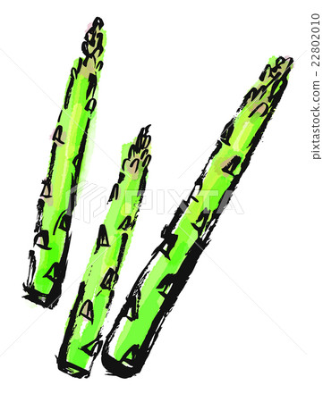 Brush drawn food asparagus 22802010