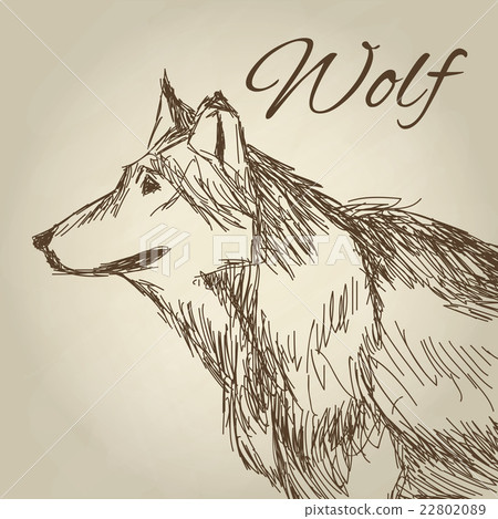 Wolf design. Animal concept.Wildlife animal Wolf design. Animal concept.Wildlife animal 22802089