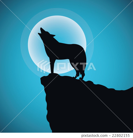 Wolf design. Animal concept.Wildlife animal Wolf design. Animal concept.Wildlife animal 22802155