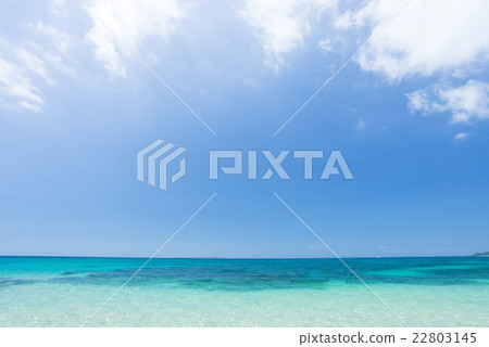 The sea of Okinawa 22803145