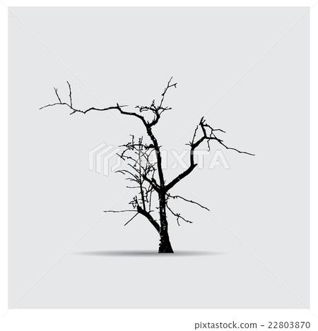 Vector tree silhouettes 22803870