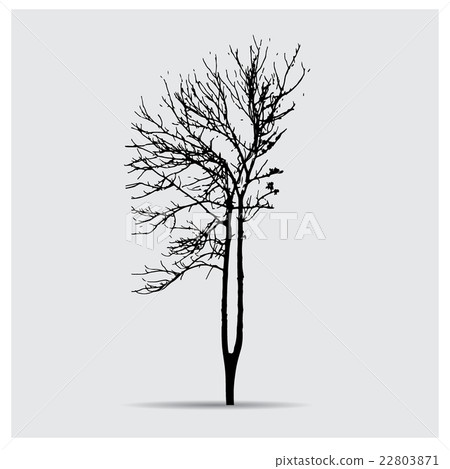 Vector tree silhouettes 22803871