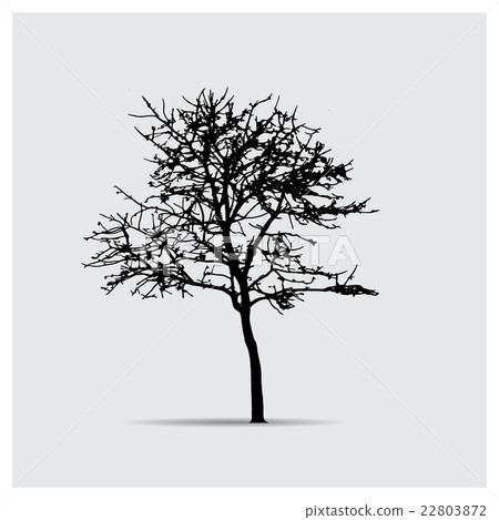 Vector tree silhouettes Vector tree silhouettes 22803872