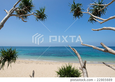 A beach beach of Okinawa beach · Hamahigajima 22803889