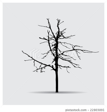 Vector tree silhouettes 22803891
