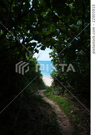 Okinawa's beach · Ocean viewing small diameter Okinawa's beach · Ocean viewing small diameter 22803918