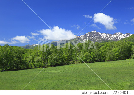 Hokkaido Furano City Fresh green forest and Ashibetsake Hokkaido Furano City Fresh green forest and Ashibetsake 22804013