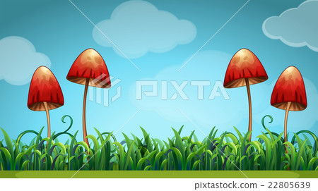 Scene with mushrooms in the field Scene with mushrooms in the field 22805639