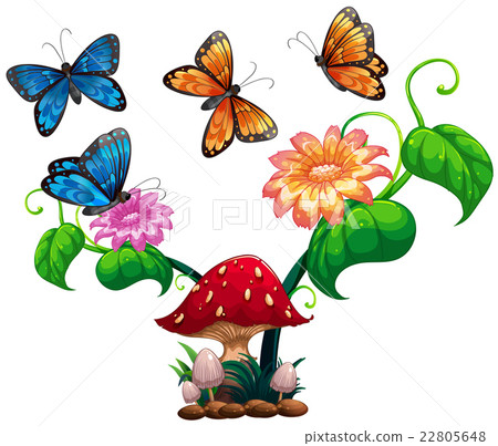 Butterflies flying around mushroom and flower Butterflies flying around mushroom and flower 22805648