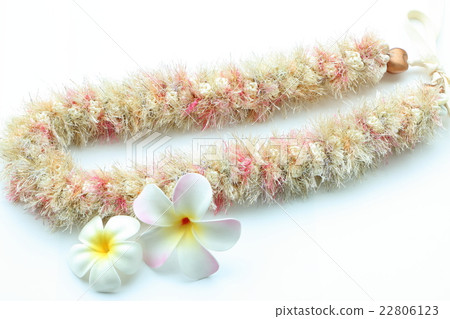 Ribbon Ray used in Hula Dance 22806123