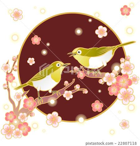 white eye bird and plum blossom white eye bird and plum blossom 22807118