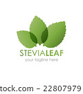 Stevia leaf logo vector illustration.  22807979