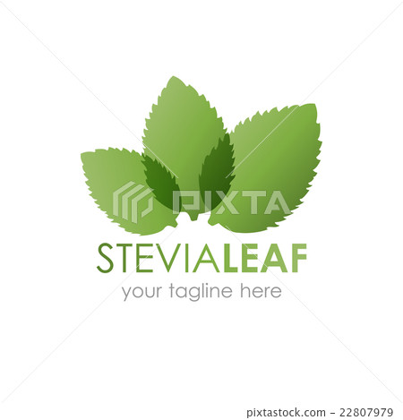 Stevia leaf logo vector illustration. Stevia leaf logo vector illustration. 22807979