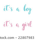 It's A Boy, It`s a girl. Pink and blue hand drawn 22807983