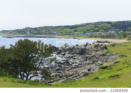 Species coast Species coast 22808490