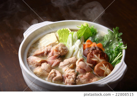 Chicken nabe Chicken nabe 22808515