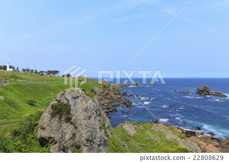 物種海岸Reedgezaki天文台 22808629