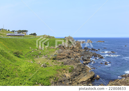 Species coast Reedgezaki Observatory 22808633