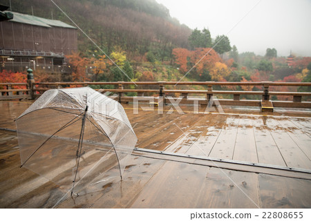 Transparent umbrella on wet wood terrace,Kiyomizu-dera,Japan Transparent umbrella on wet wood terrace,Kiyomizu-dera,Japan 22808655