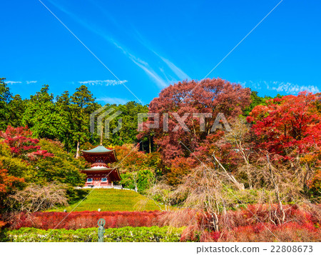 勝男寺的寶塔 勝男寺的寶塔 22808673