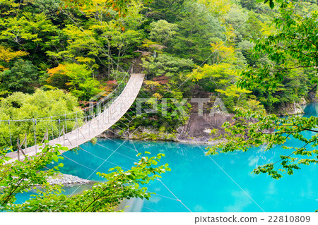 [Shizuoka] Dream Suspension Bridge 22810809