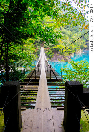 [Shizuoka] Dream Suspension Bridge 22810810
