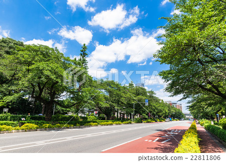 Tokyo National University street 22811806