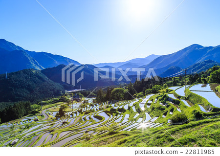 晚上Maruyama Senjita 晚上Maruyama Senjita 22811985