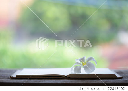 Notebook and flower on wooden table Notebook and flower on wooden table 22812402