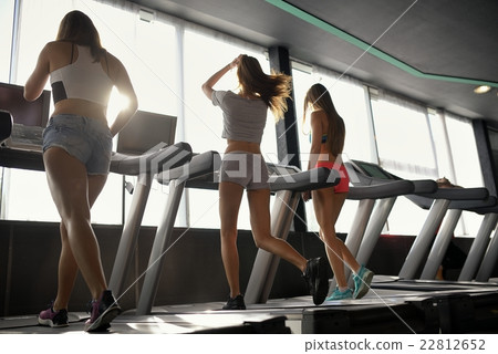 Group of young woman running on treadmills in modern sport gym Group of young woman running on treadmills in modern sport gym 22812652
