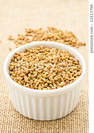 Fenugreek seeds in white bowl. 22813766