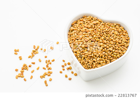 Fenugreek seeds in white bowl. Fenugreek seeds in white bowl. 22813767
