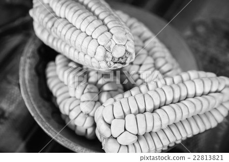 Four Corns in a Bowl. Four Corns in a Bowl. 22813821