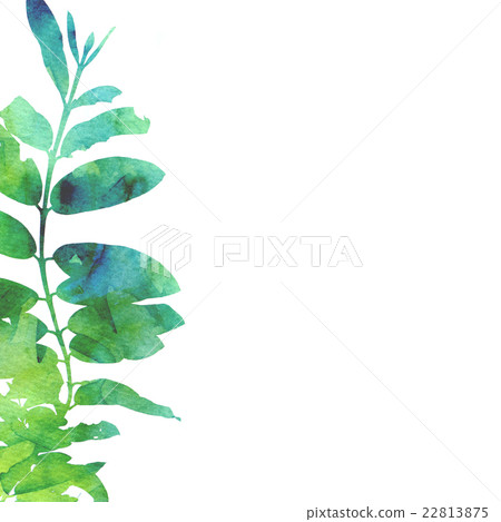 Tropical leaves on white space artistic page Tropical leaves on white space artistic page 22813875