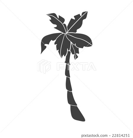 Silhouettes of hand drawn palms trees. Silhouettes of hand drawn palms trees. 22814251