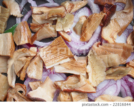 Porcini Mushroom Porcini Mushroom 22816844