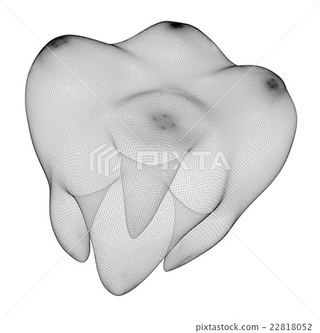 image of the human tooth image of the human tooth 22818052