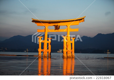 世界遺產宮島嚴島神社亮起 22818067