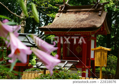 Ogami Shrine Suisha Ikedajima Hime Shrine的Sasa Yuri 22818076