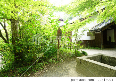 Koga no Sato Ninjutsu村失踪很好 22818994