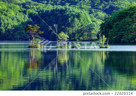 索根湖的早晨 索根湖的早晨 22820314