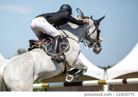 Equestrian Sports, Horse jumping, Show Jumping Equestrian Sports, Horse jumping, Show Jumping 22820775