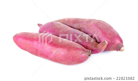 sweet potato isolated on the white background sweet potato isolated on the white background 22821082