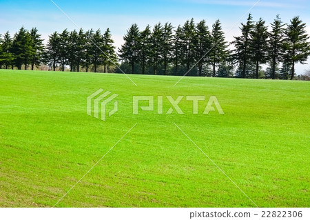 Prairie of the plateau (7) 22822306