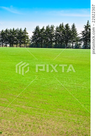 高原草原（8） 22822307