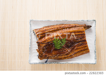 Grilled eels of eel 22822383