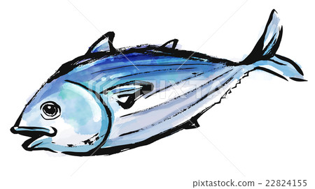 Bonofinished魚鰹魚 22824155