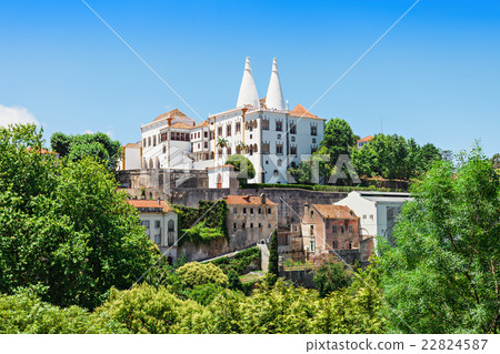 Sintra National Palace 22824587