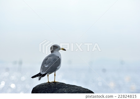 Uminated ocean background Uminated ocean background 22824815