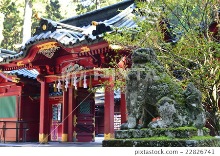 Hakone Shrine, right lioness dog Hakone Shrine, right lioness dog 22826741